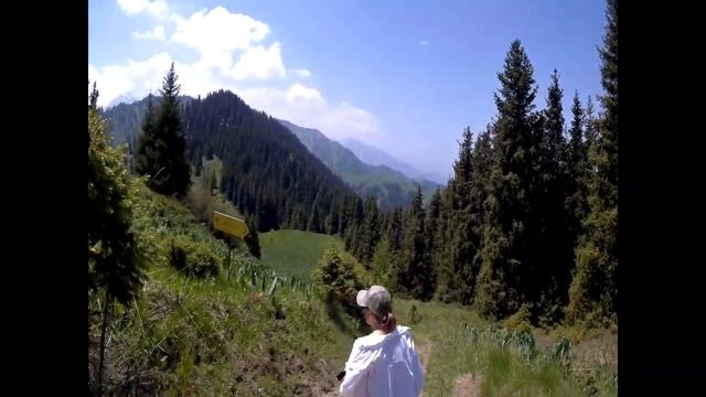 От Лесной сказки до Красного яра и в Лесную сказку через долину мостов. смотреть онлайн