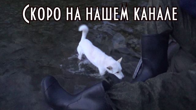 На Становой хребет к друзьям эвенкам. Скоро на нашем канале 4-я часть смотреть онлайн