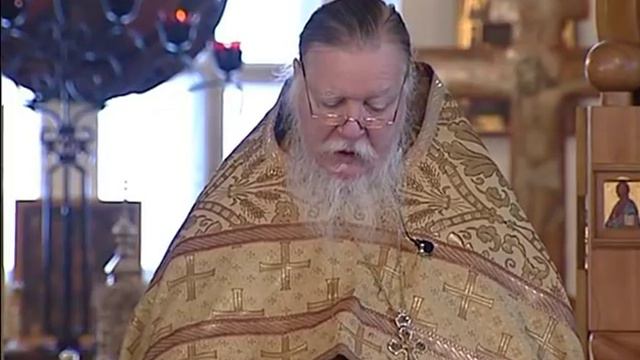 Протоиерей Димитрий Смирнов. Проповедь о человеке, который расстался с грехом смотреть онлайн