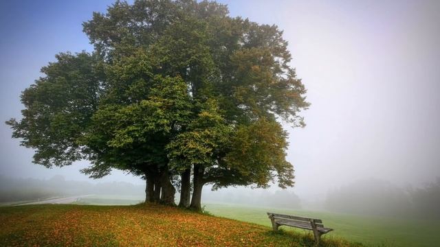 После этого ты перестанешь беспокоиться и поймешь, что все идет, как надо! смотреть онлайн