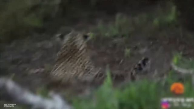 Спорт Тайм 14 04 20