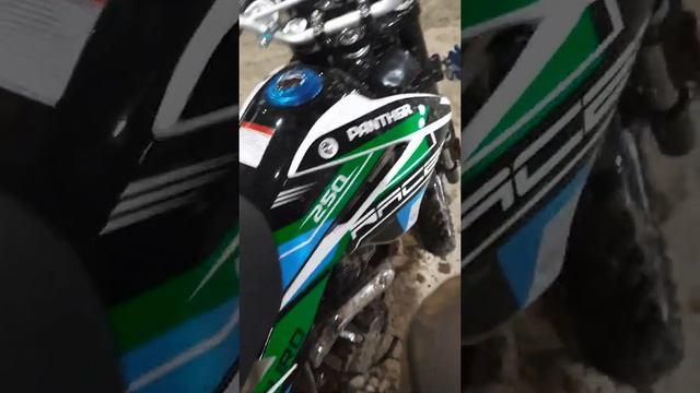 Рейсер Пантера 250