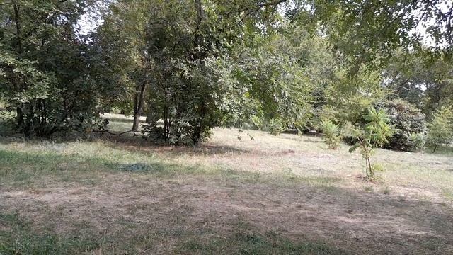 Мои стихи. Душа приходит их Дома смотреть онлайн