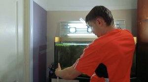 Чистка аквариума. Сифонка грунта и подмена воды в аквариуме.