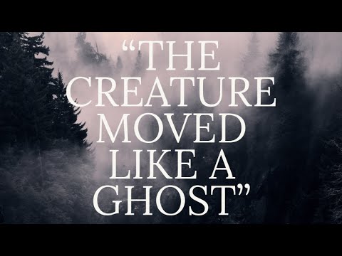 BEAR HUNTER HAS CLEAR SIGHTING OF BIGFOOT