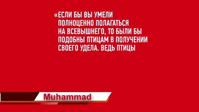 100K Muhammad 19.mp4 смотреть онлайн