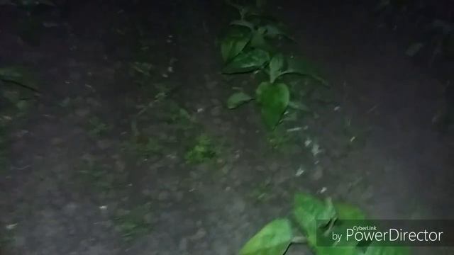 Опрыскивание подсолнечника (Подкормка) Евролайтинг. 3.06.18 смотреть онлайн