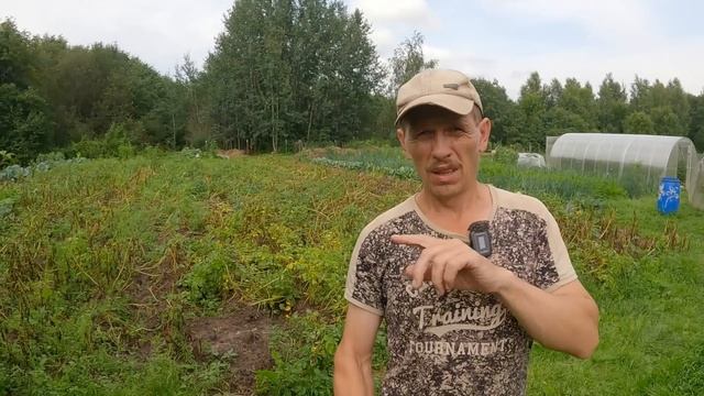 "Тропические" ливни прервали сенокос или короткие новости прошедшей недели! смотреть онлайн