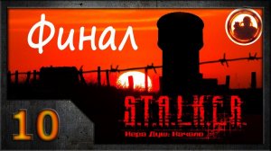 СТАЛКЕР. Игра душ: Начало #10. Финал.
