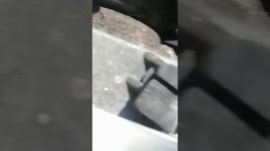 Замена тросика реверса на мотоблоке Caiman eco 60sc2