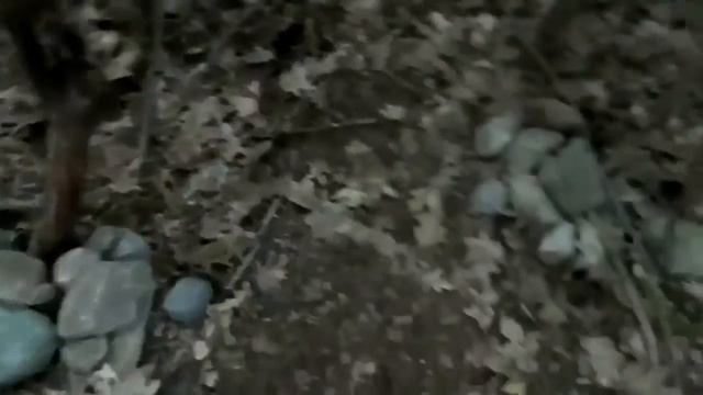 Современные ведьмы рядом. Часть 1 смотреть онлайн