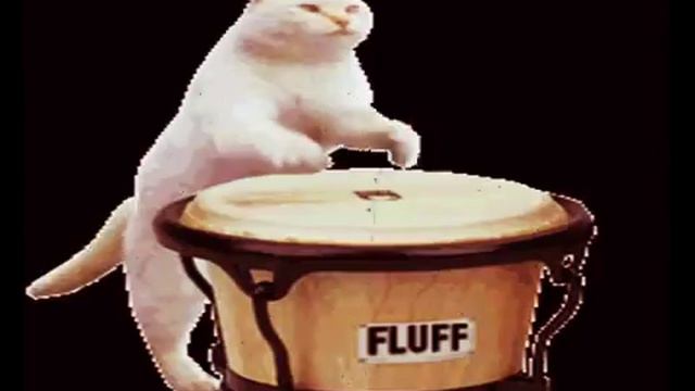 КОТИ-ВЕСНА смотреть онлайн