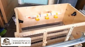 Клетка для кур несушек на 6 голов. ВИДЕО-ОБЗОР