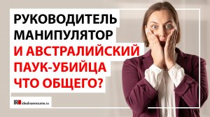 Манипуляции на работе | Как общаться с руководством , если руководитель - манипулятор?