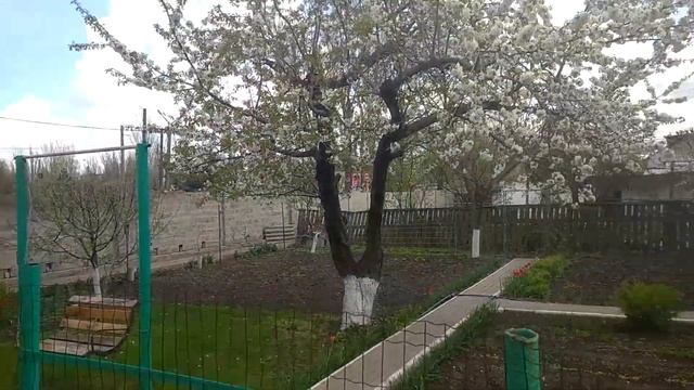 мангал барбекю ч.2