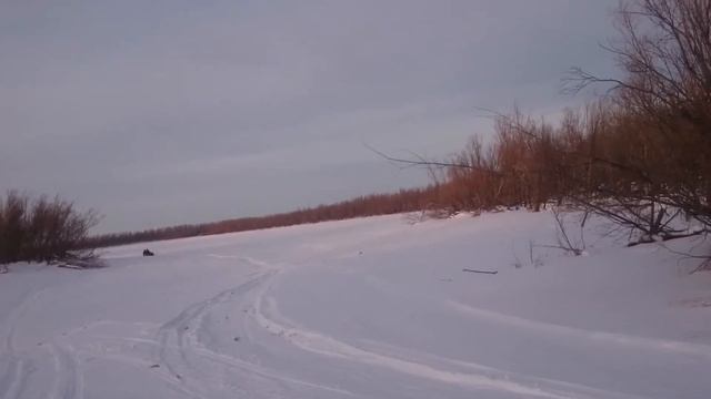 Мото собака Мегион.mp4