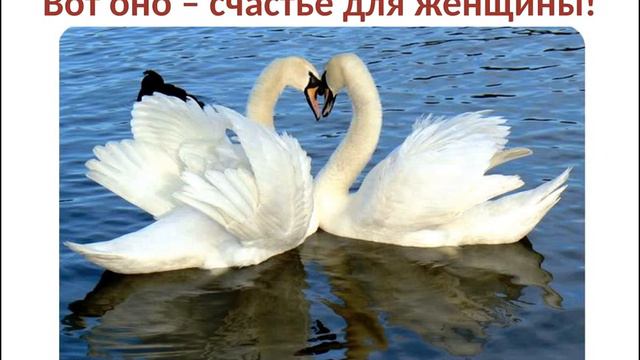 Женское счастье и Виктория Романова. смотреть онлайн