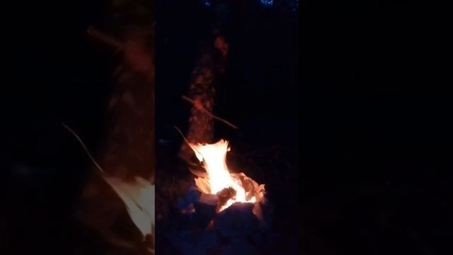 Горный Крым. Ночной разговор с косулей. смотреть онлайн