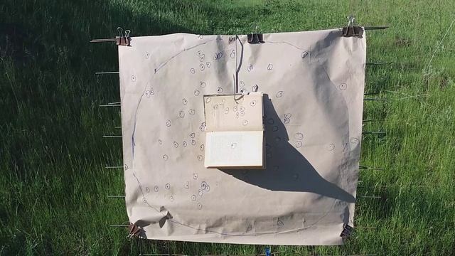 ТОЗ 66 Отстрел,дробь N1, 34грамма. смотреть онлайн