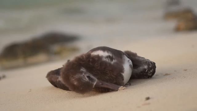 Midway. Остров Мидуэй. ( субтитры на русском )