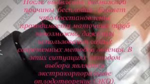 Размножение