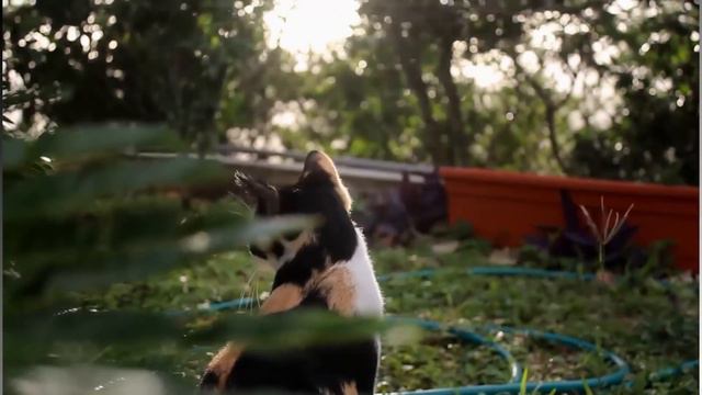 Ну что праведница, теперь ты никуда не уйдешь - приговаривал урод, готовясь совершить злодеяние смотреть онлайн