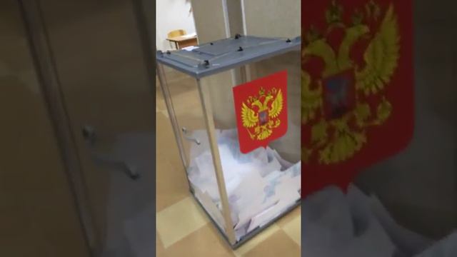Утренний вброс бюллетений в УИК 1809 Санкт Петербурга Черная речка смотреть онлайн