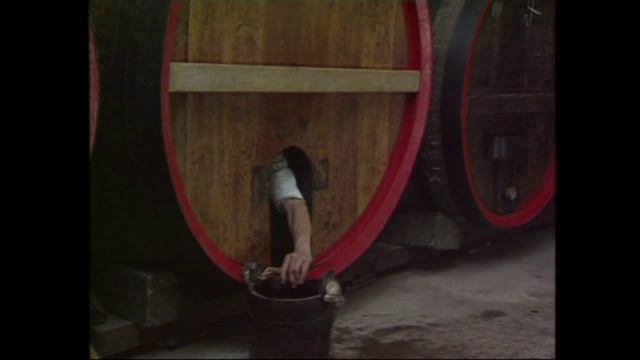Sommerbierkeller Wasserburg am Inn смотреть онлайн