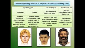 География 7 класс  Государства Евразии  Страны