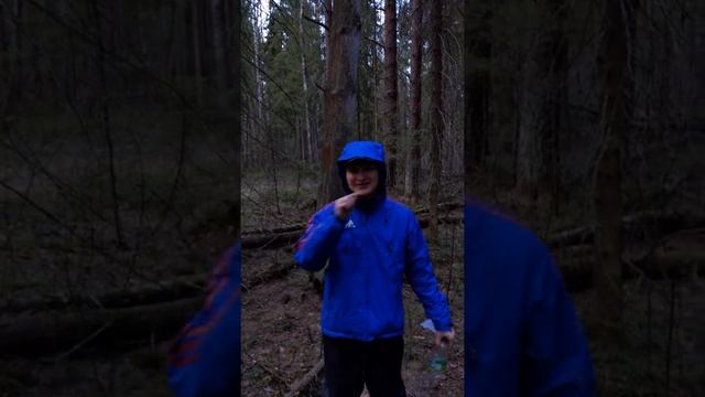 Как быстро построить домик в лесу! смотреть онлайн