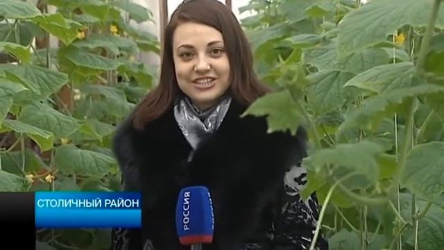 17 03 14 Столичный район смотреть онлайн