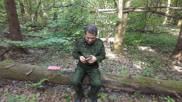 Мастерство и Стремление к Совершенству