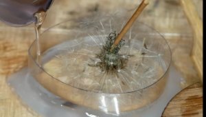 Одуванчик в эпоксидной смоле в виде кулона