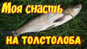 Моя снасть на толстолоба, проверено работает