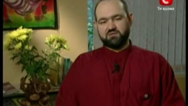 Жуков в однои из сюжетов Студии Пилот в телепередаче "Параллельный мир" об энергетическом вампиризм смотреть онлайн
