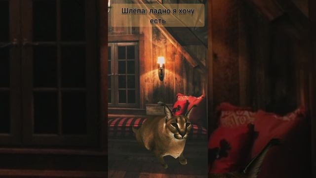 #cat #мем #floppa #кот #кошки #рекомендации #animation #хочуврек #шлепа #мемы #Shorts #сериал #food смотреть онлайн