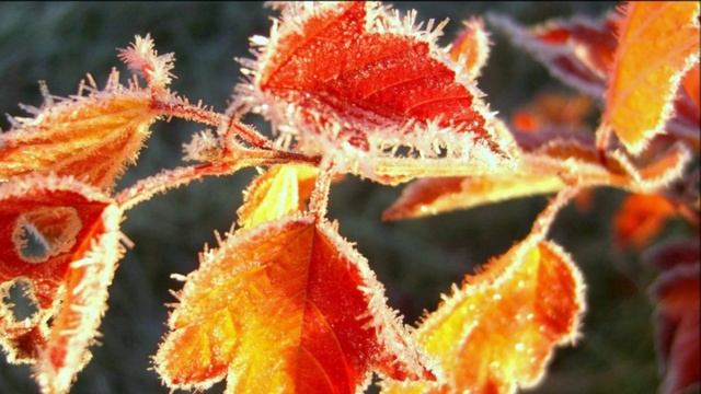 Возвращение Божественного тела. Медитация