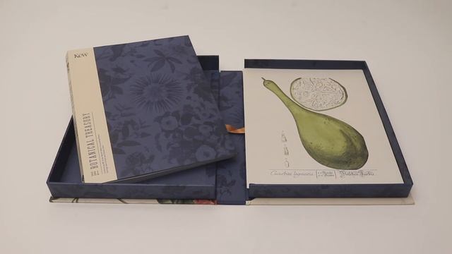 The Botanical Treasury смотреть онлайн