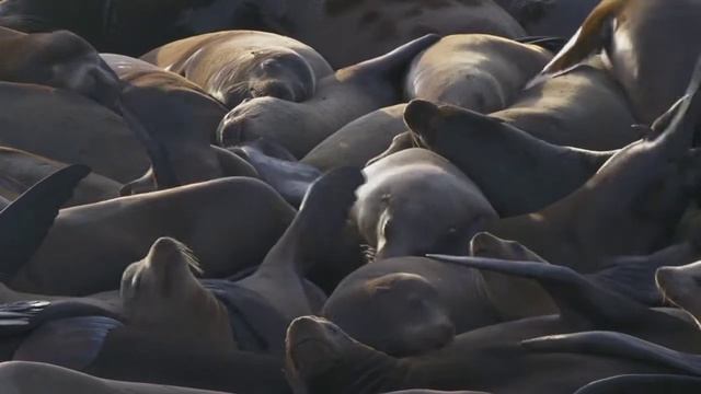 Я вернулся:)))