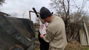 Мясо козлятины и как разделать мясо козла самому.