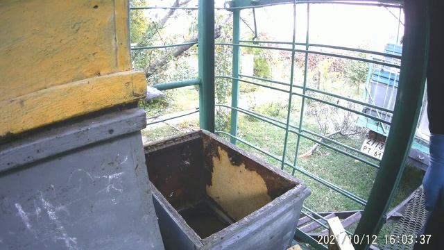 Могучий Узбекский пчелопакет оправдал покупку в разы.Собираем гнездо пчел в зиму. смотреть онлайн