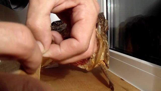 Балансир на окуня своими руками,видео rybachil.ru смотреть онлайн