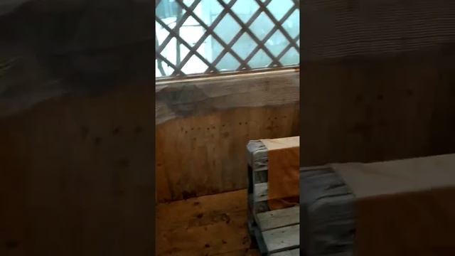 Беседка из подручных материалов смотреть онлайн