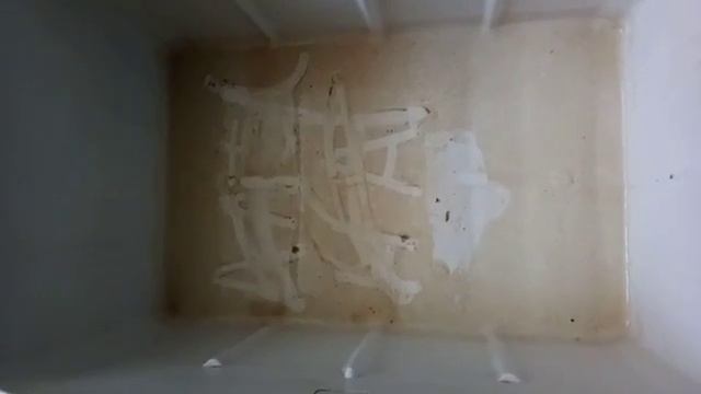 Какой пылью мы дышим в квартире смотреть онлайн