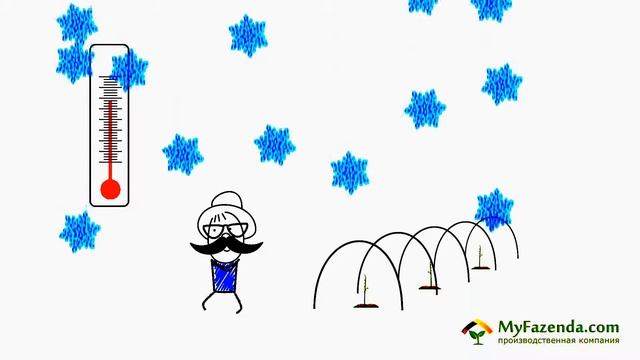 Огурцы в парнике желтеют смотреть онлайн