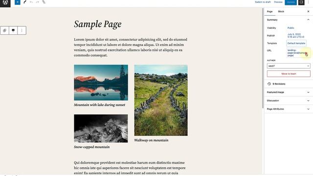 Using Page Templates смотреть онлайн