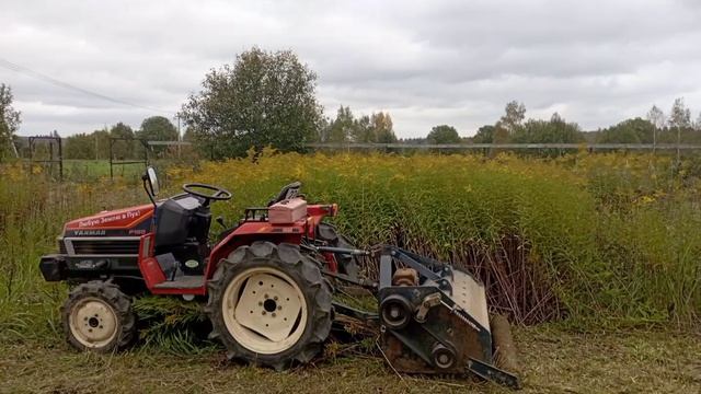 Озеленение с удовольствием: садовые секреты