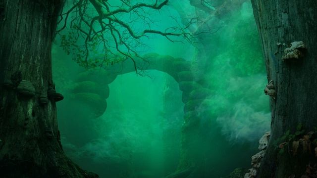 Dark Fantasy Explore Track - Ambient music and Forest sound смотреть онлайн