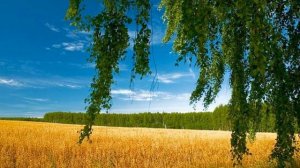 Родимая земля -  Вахтанг Кикабидзе