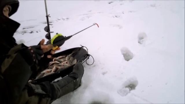 Бирля 5.01.2013г Flamm и его 400кг окуней смотреть онлайн